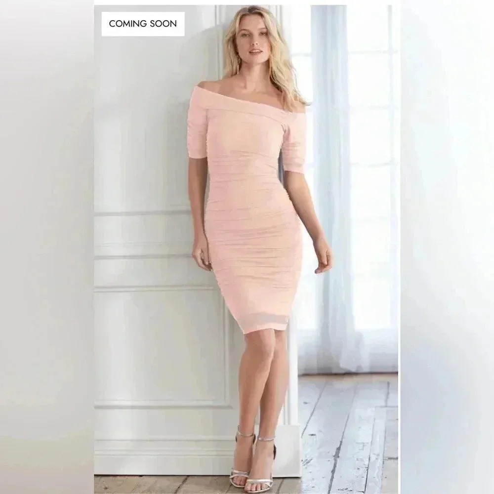 Pale Pink Off the Shoulder Bodycon Dress